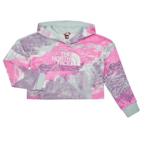 Felpa ragazza The North Face  Girls Drew Peak Light Hoodie  Multicolore The North Face 196247654806